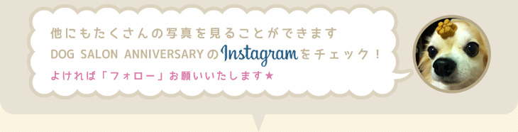 instagraminfo