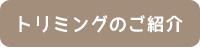 トリミングご紹介