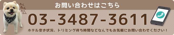 お問い合わせはこちら